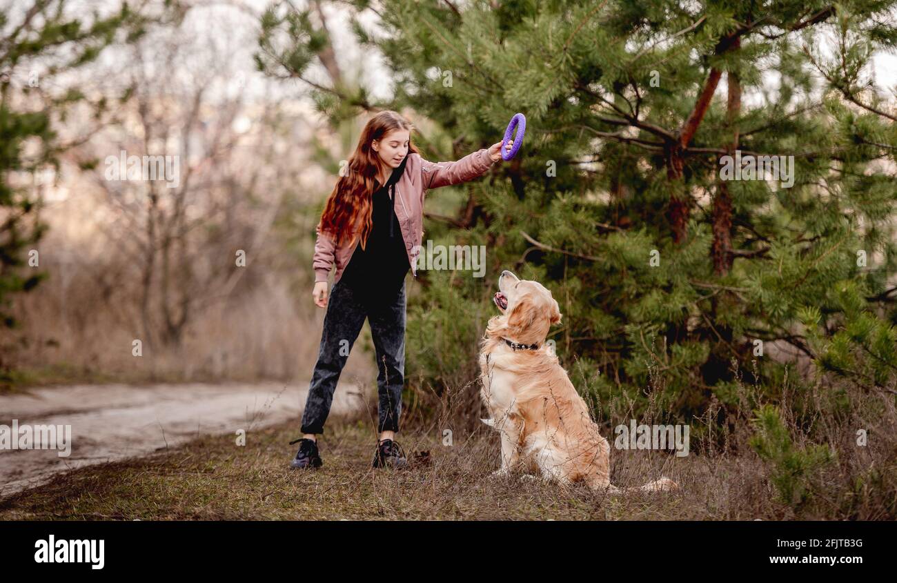 Girl with golden retriever dog in the wood Stock Photo - Alamy