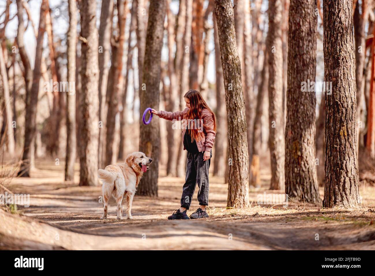 Girl with golden retriever dog in the wood Stock Photo - Alamy
