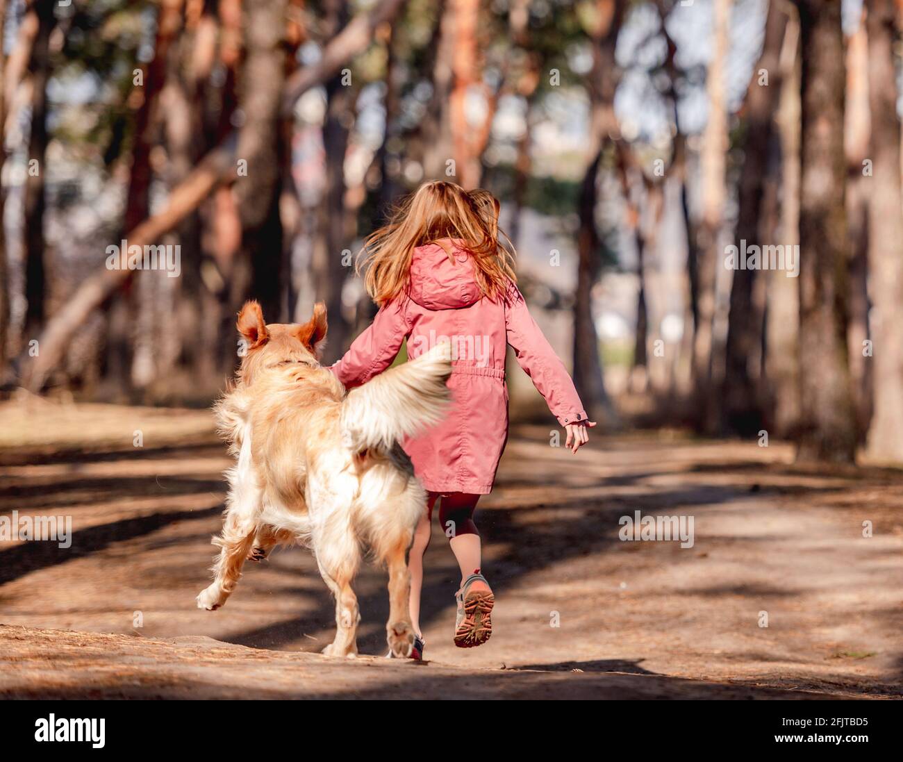 Little girl with golden retriever dog in the wood Stock Photo - Alamy