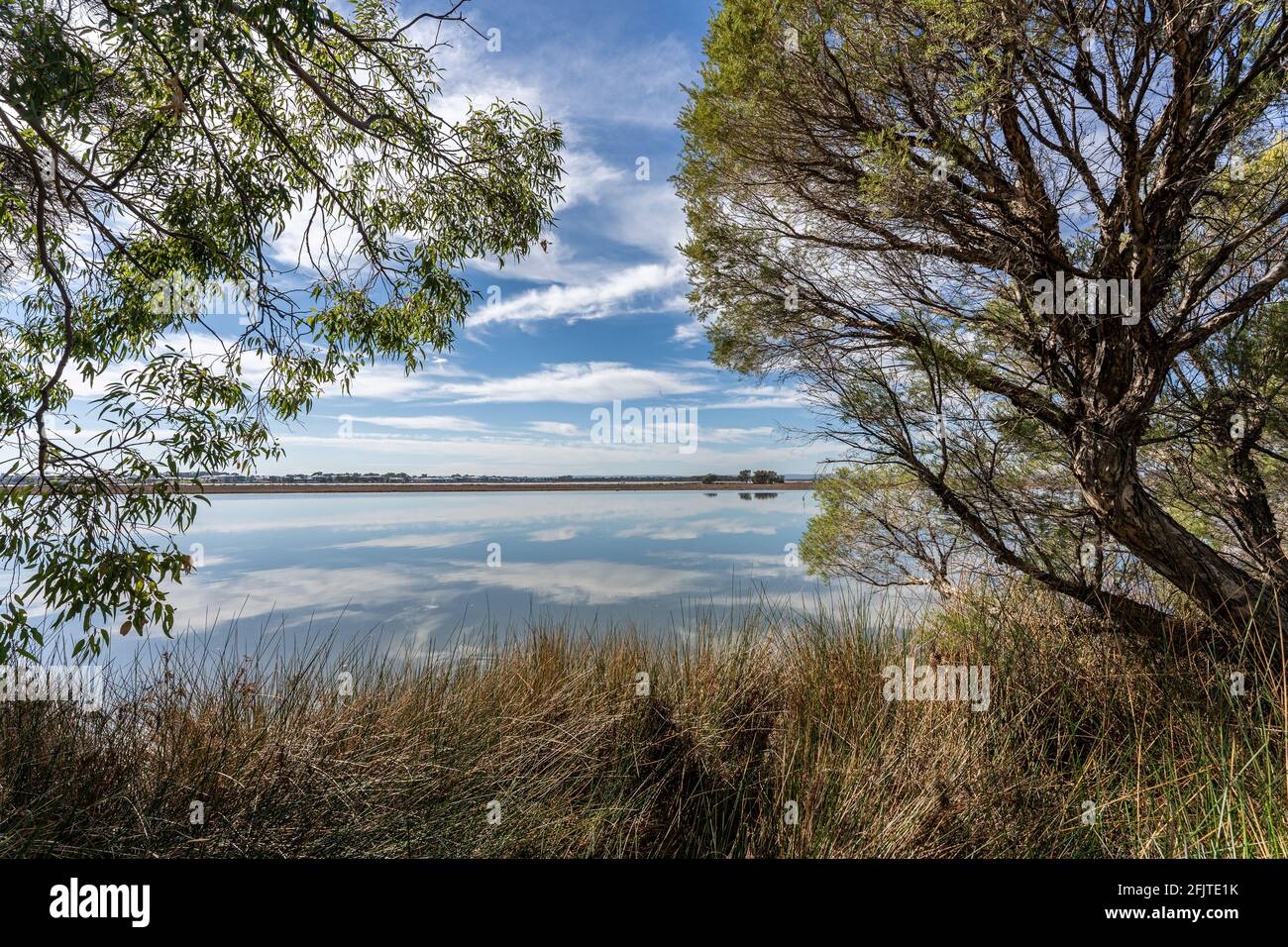 Osprey Waters Foreshore Reserve view to the sea Stock Photo Alamy