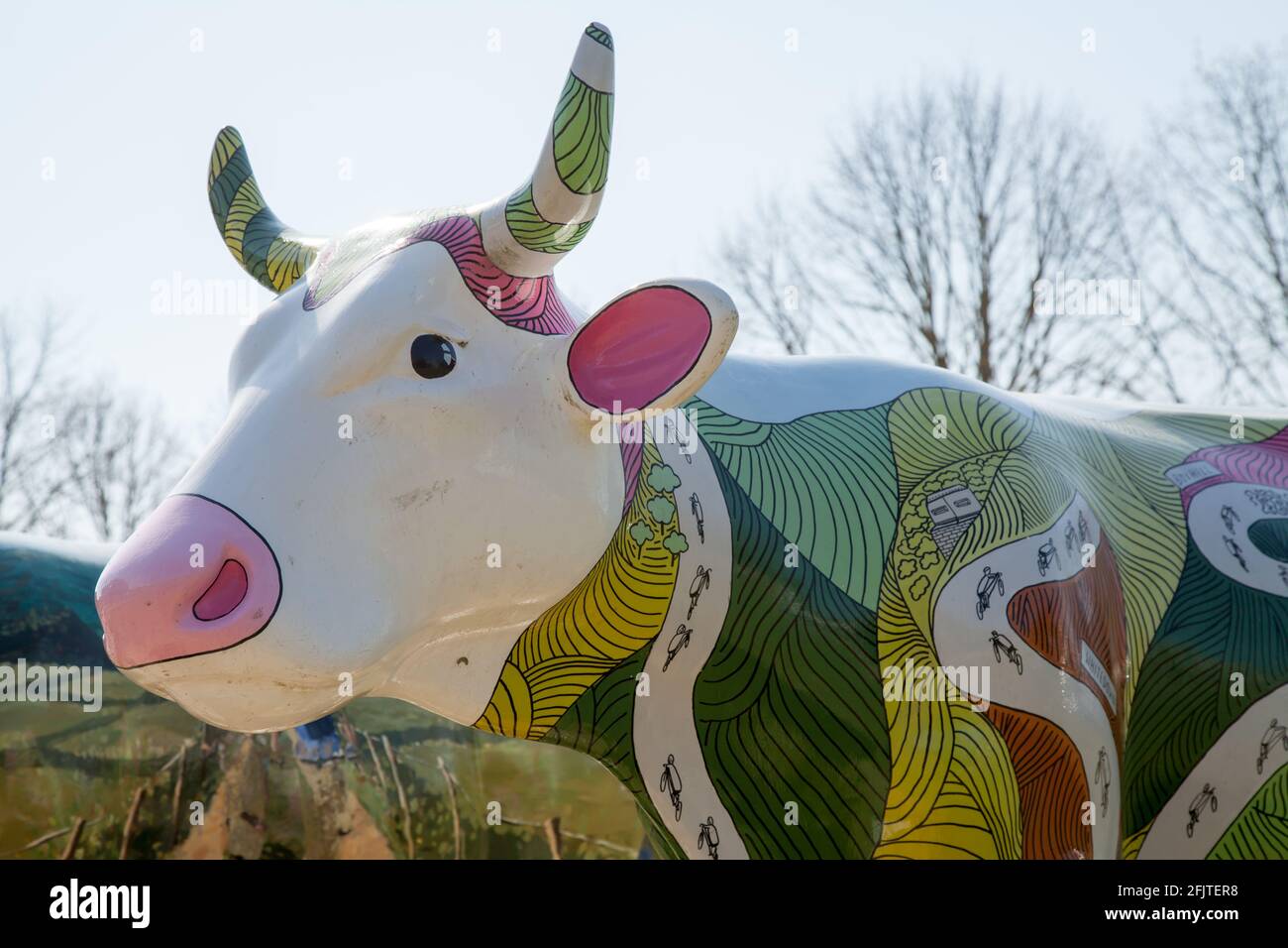 Two fibreglass cows at Denbies, originally from the Surrey Hills