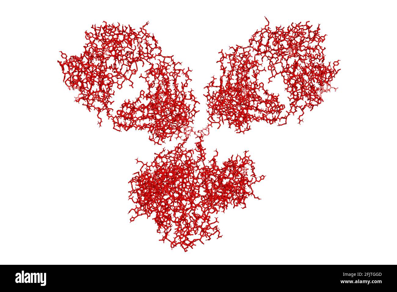 Immunoglobulin IgG1 monoclonal antibody glycoprotein molecule 3D render