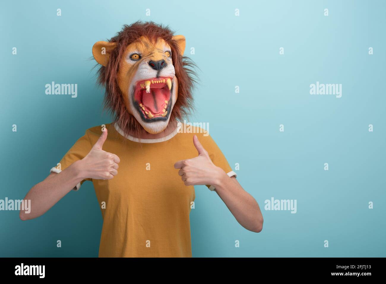 Animal mask lion hi-res stock photography and images - Alamy