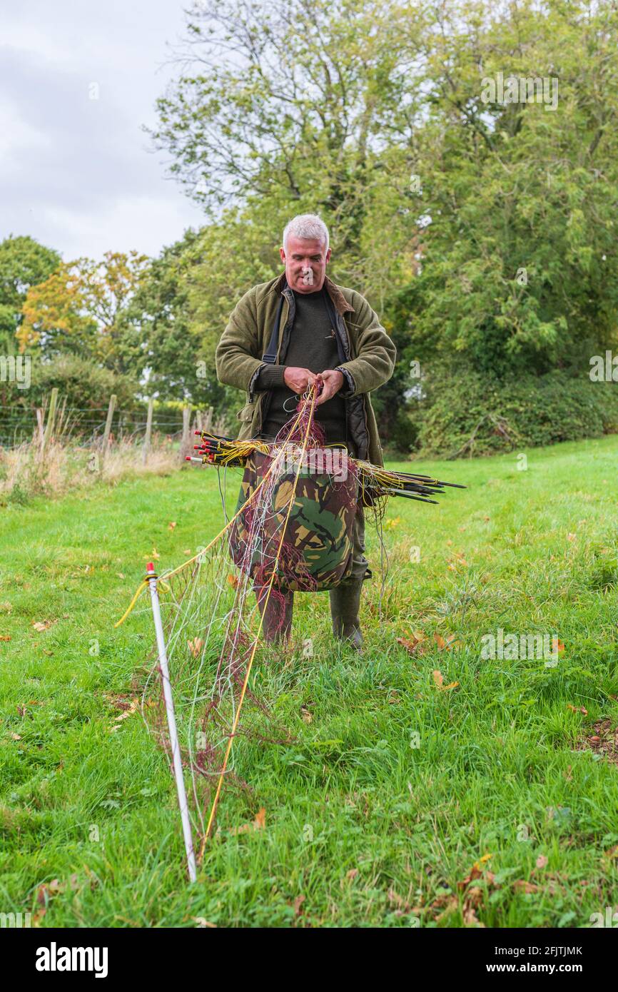 Warrener rabbit hi-res stock photography and images - Alamy