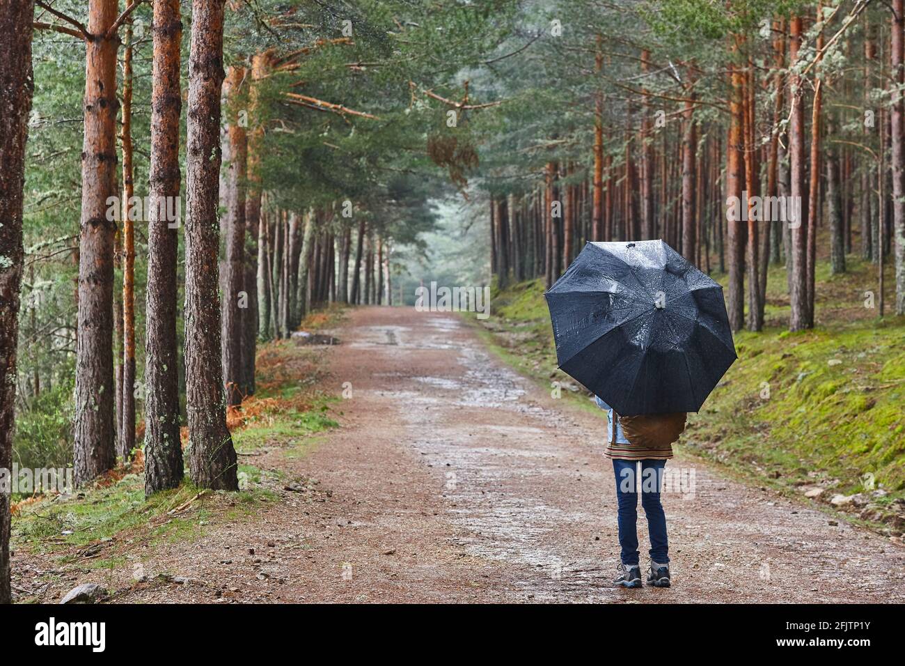 Woman walking in the forest under the rain. Beautiful footpath Stock Photo