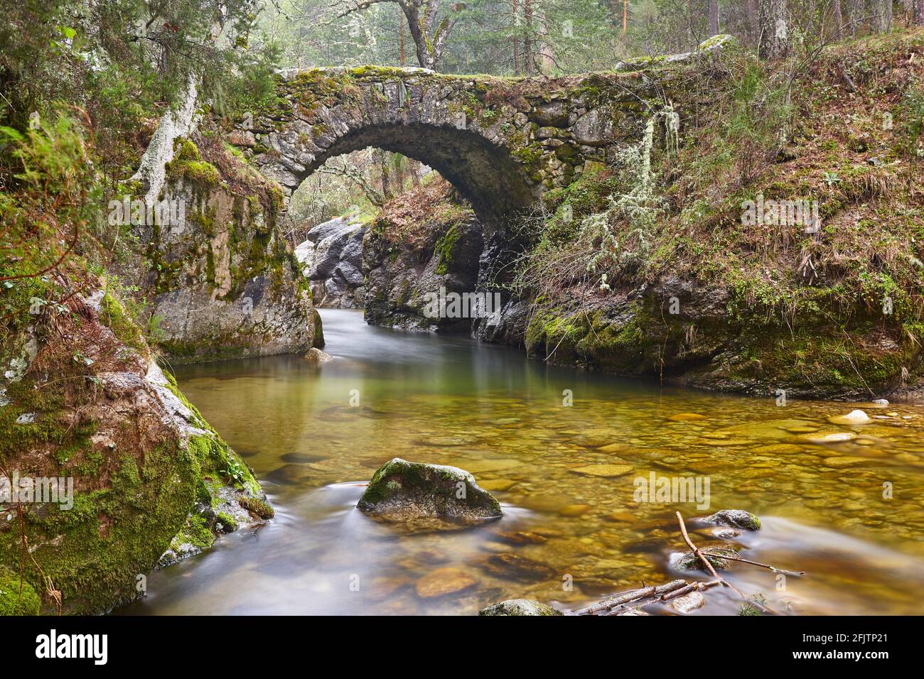 Forest and creek. Angostura picturesque stone bridge in Madrid. Spain Stock Photo