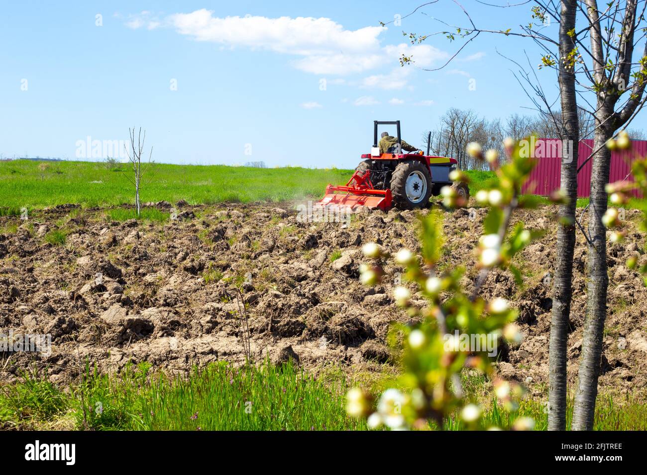 A small tractor plows the soil with a milling plow in a country vegetable garden in early spring. Preparing the soil for planting crops. Stock Photo