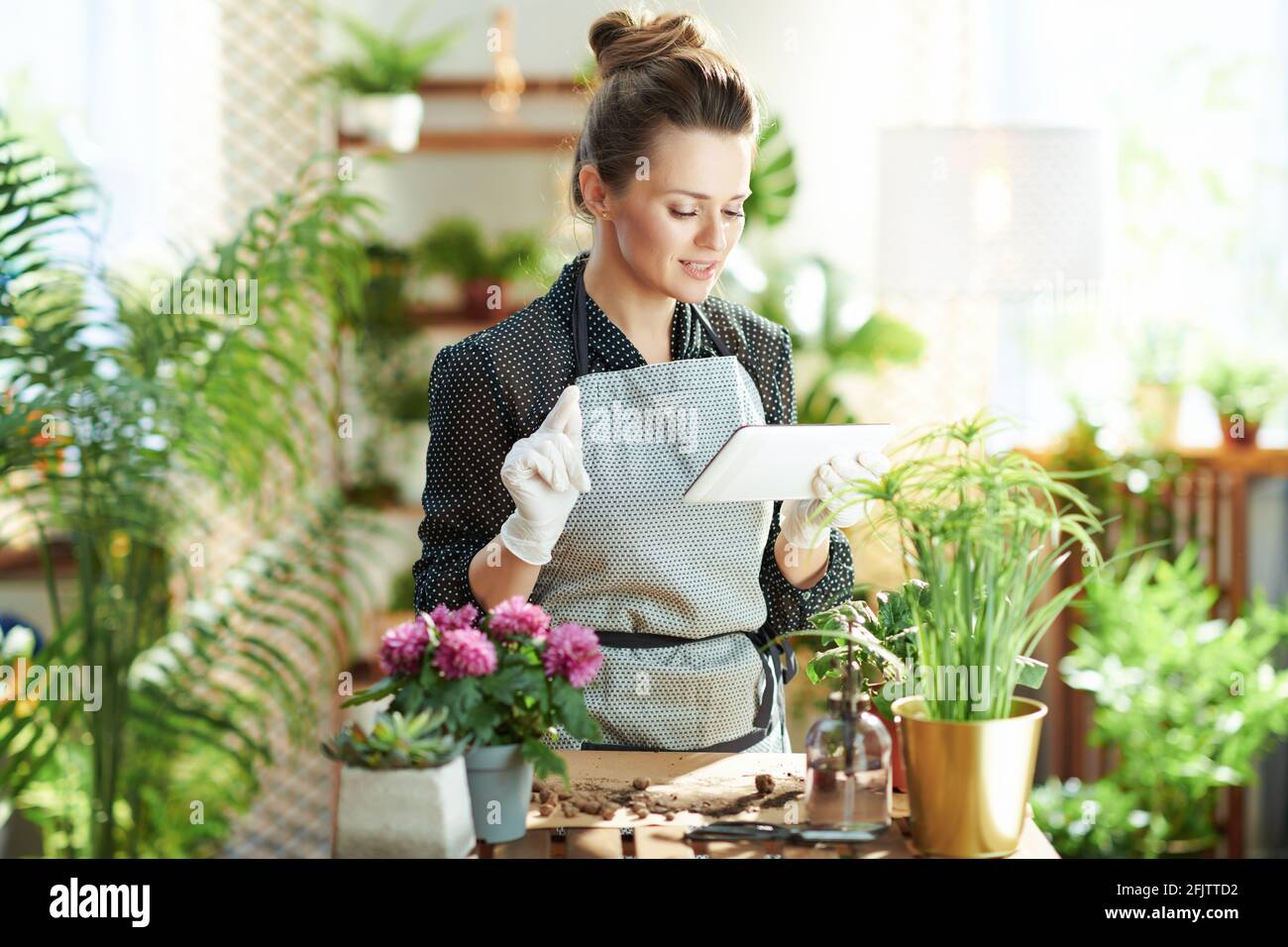 Relaxing home gardening. young woman in white rubber gloves with potted plant and tablet PC in the modern living room in sunny day. Stock Photo