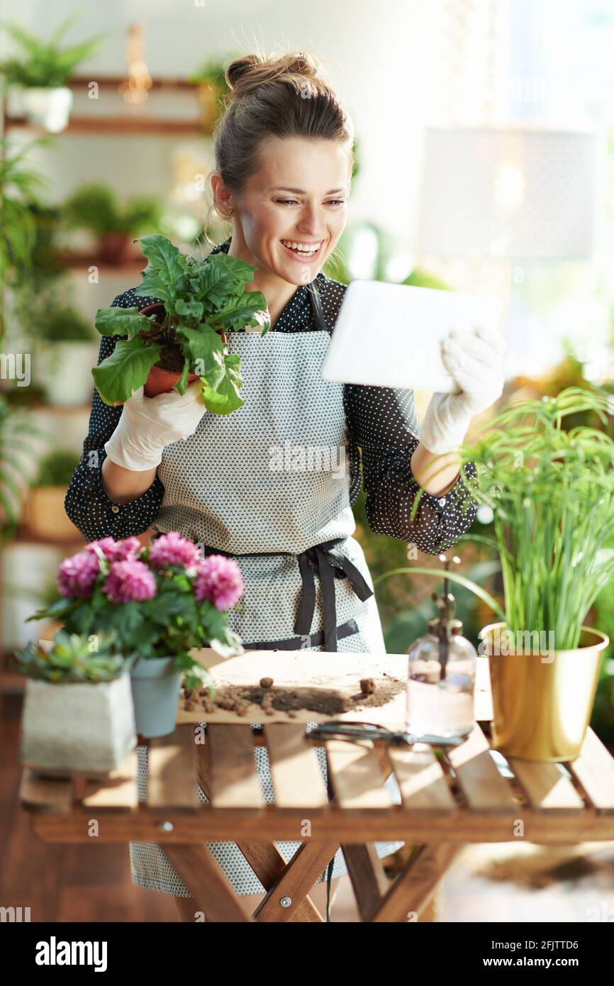 Green home. smiling young woman in white rubber gloves with potted plant using tablet PC and using video chat at modern home in sunny day. Stock Photo