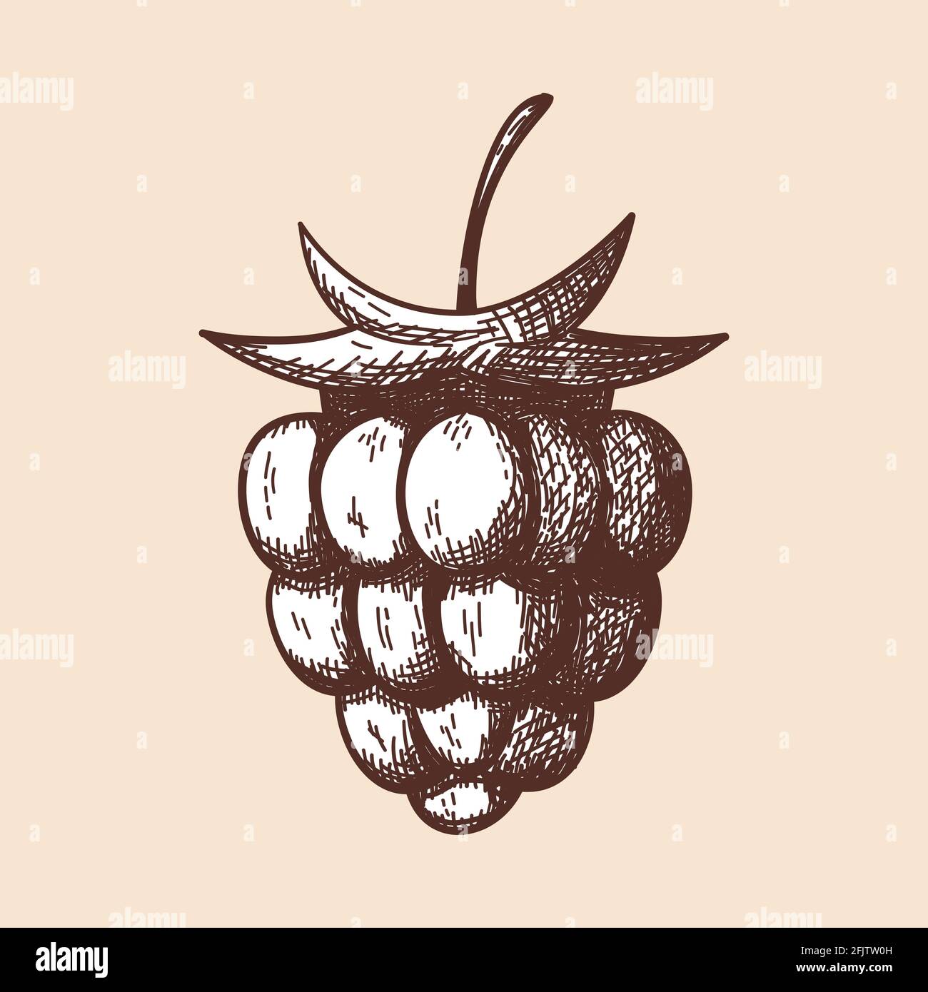 Icon Of Raspberry. Hand Drawn Sketch. Retro Vintage Design. Vector ...