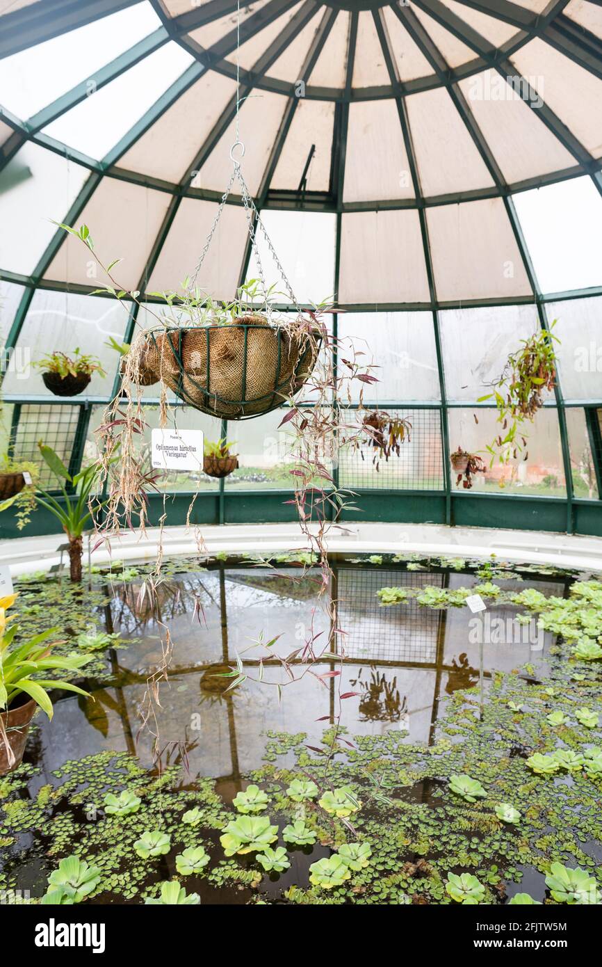 Inside a glasshouse in Zagreb Botanical Garden (Botanički vrt u Zagrebu), Zagreb, Croatia Stock Photo