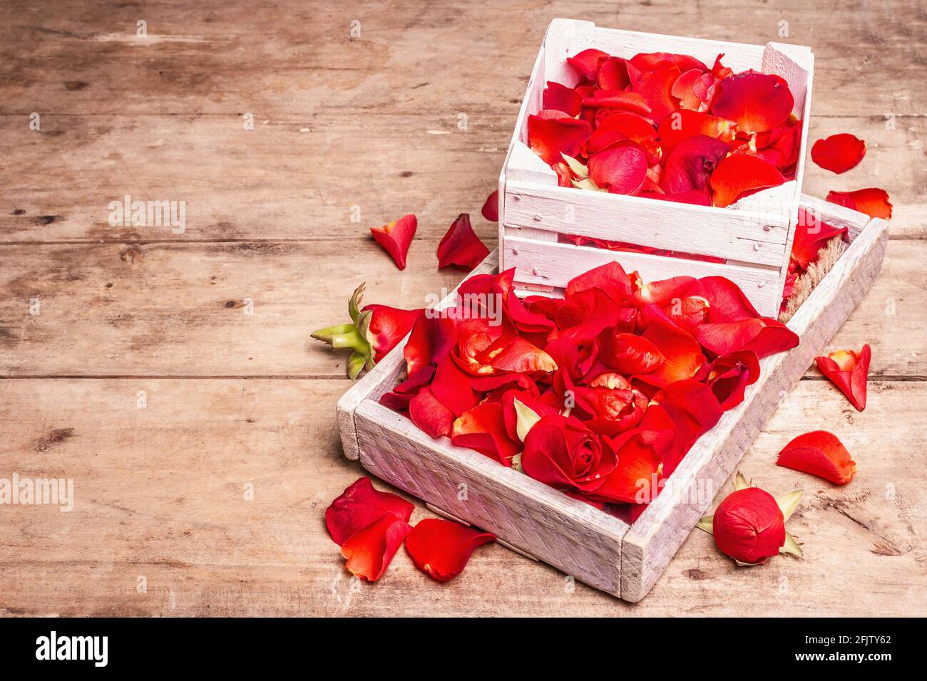 Fresh red roses petals in wooden crates. Fragrant flowers, trendy