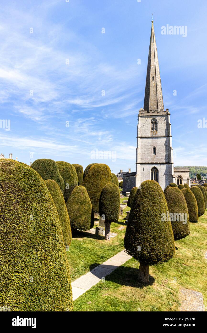St Marys church with some of its 99 yew trees in the Cotswold village of Painswick, Gloucestershire UK Stock Photo