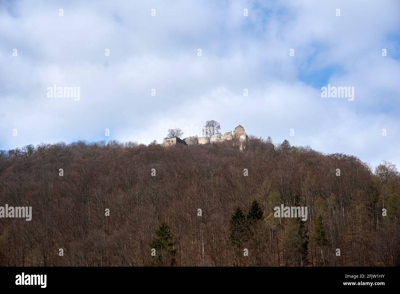 Ruined castle Hohenurach on top of a forested mountain in Bad Urach ...