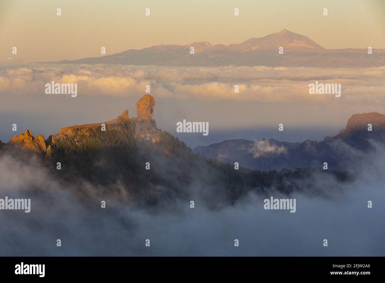 Spain Canary Islands Island Of Gran Canaria El Roque Nublo Is A Basalt Monolith 80 M High And Culminating At 1 813 M In The Background The Summit Of Teide On The Island