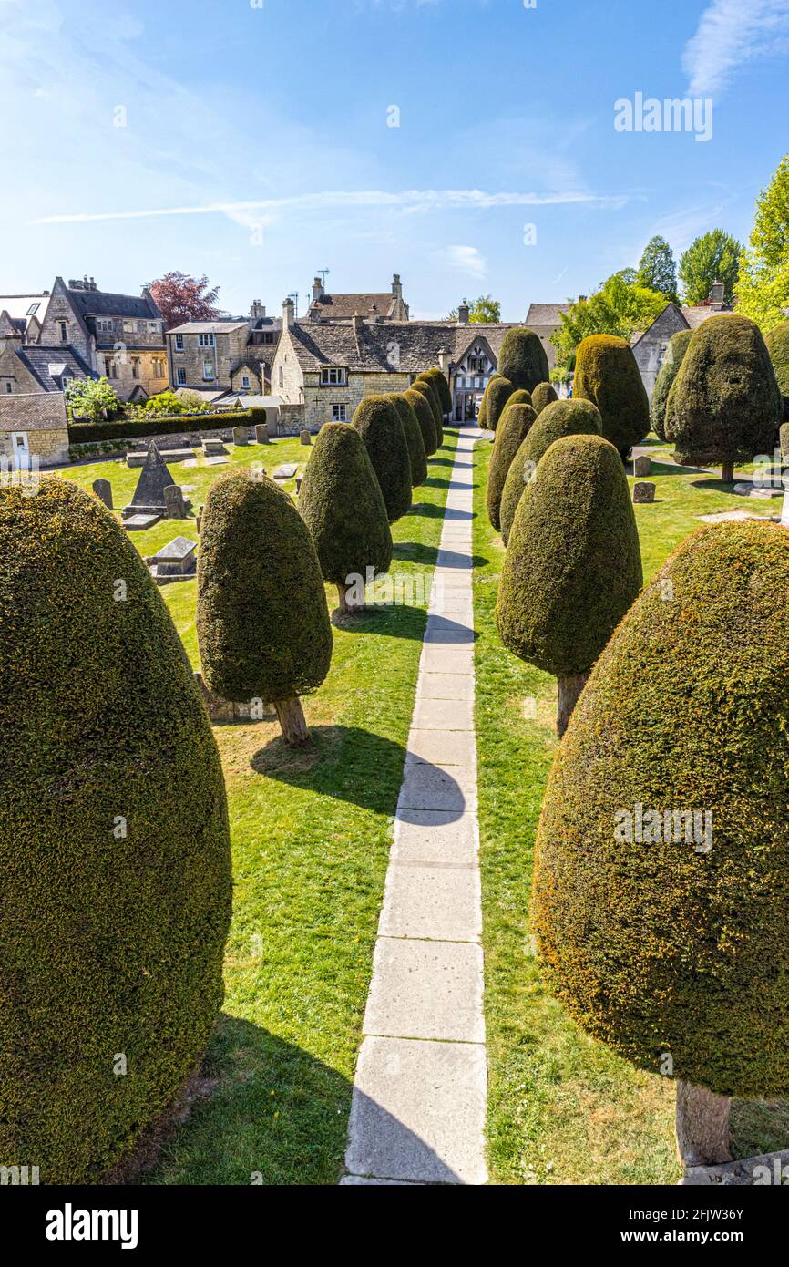St Marys churchyard with some of its 99 yew trees in the Cotswold village of Painswick, Gloucestershire UK Stock Photo