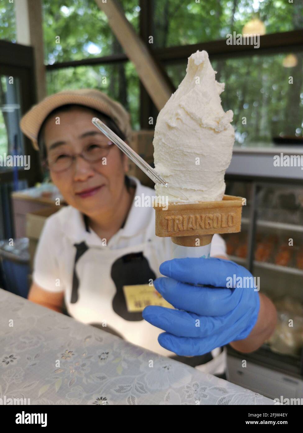 Japan, Hokkaido island, Furano, Furano cheese factory, ice cream Stock