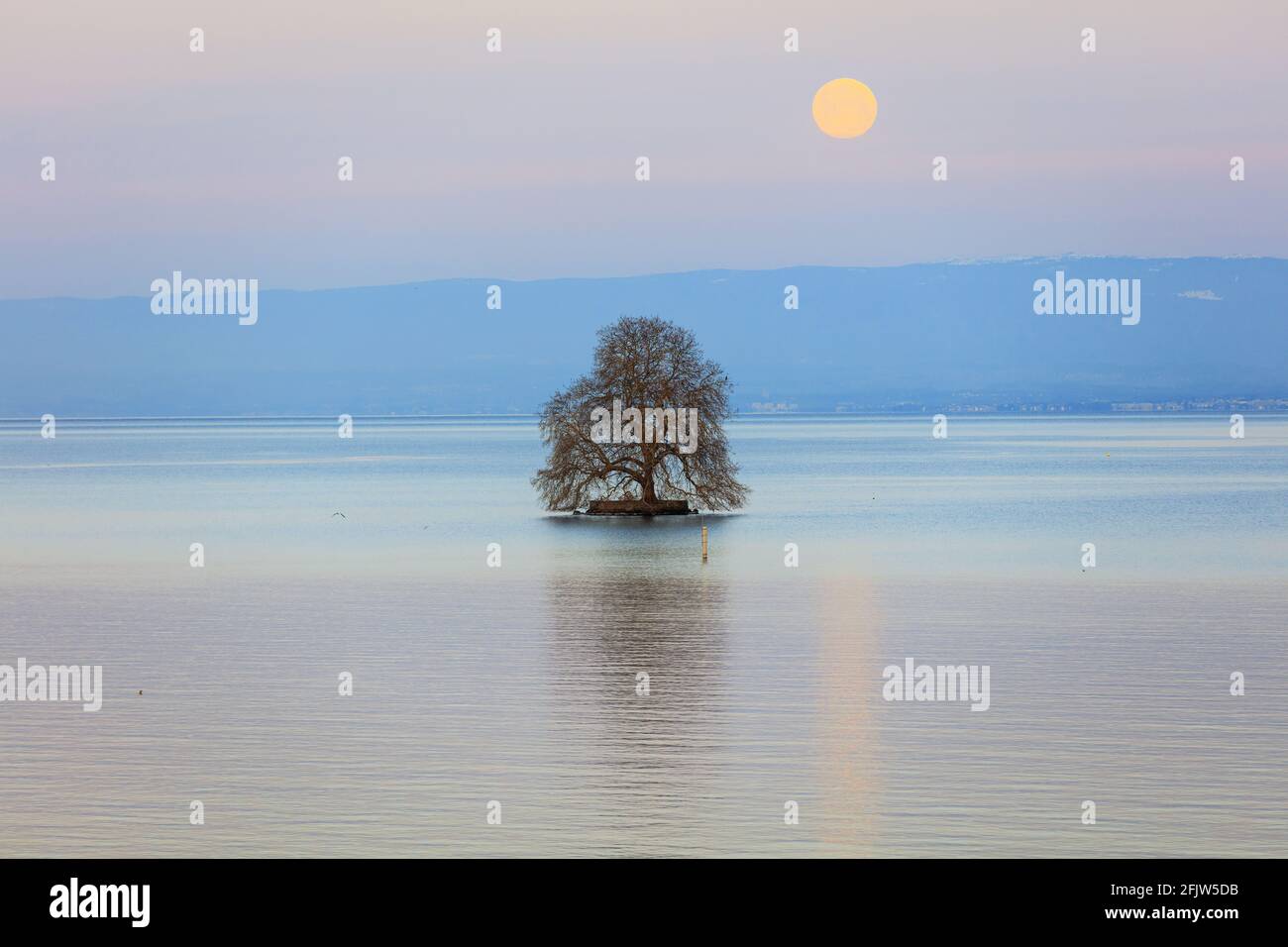 Switzerland, Canton of Vaud, Villeneuve, Lake Leman, ile de Peilz, moon setting Stock Photo
