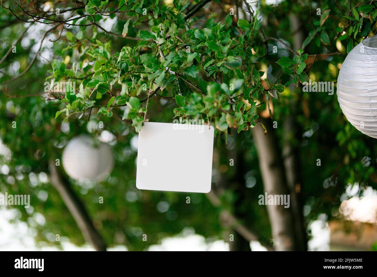Blank rectangular plaque hanging on a green tree next to the lamps Stock Photo