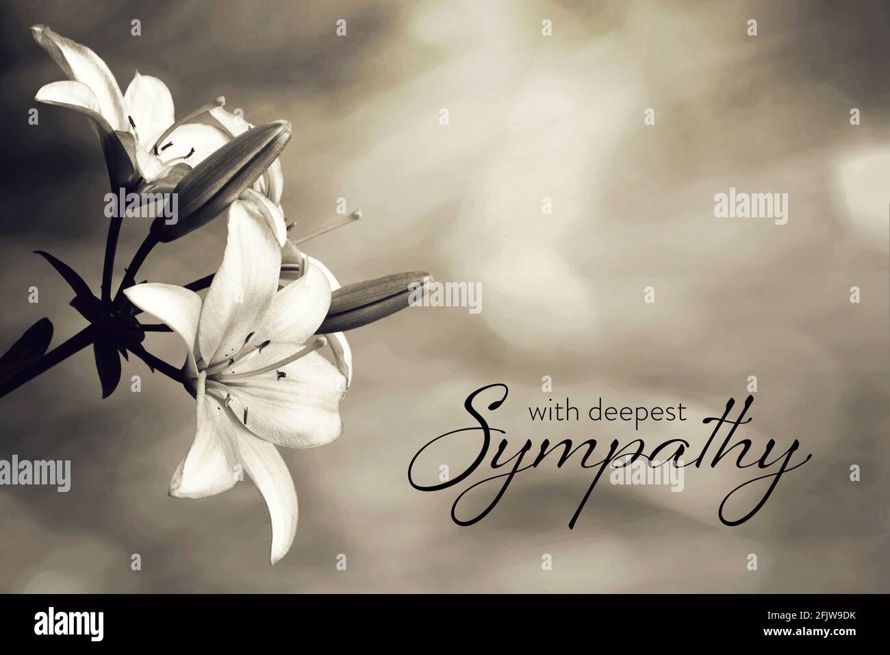 Sympathy card with lily flowers Stock Photo