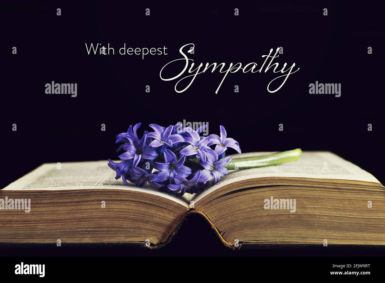 Sympathy card with hyacinth flower and open book Stock Photo Alamy