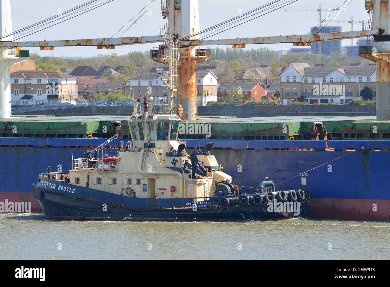Svitzer Bootle tug assisting a large cargo ship heading up the Thames in London Stock Photo