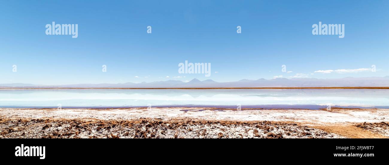 Tebinquinche lagoon, desert in Salar de Atacama, San Pedro Atacama, Altiplano, Chile Stock Photo