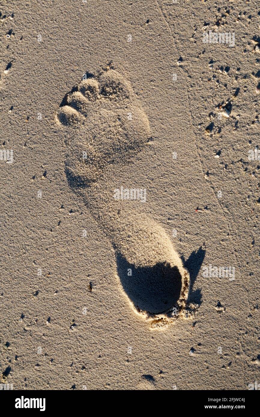 Footprint in sand on the beach at Bandos Island in the Maldives. The Maldives is a popular holiday tropical destination in the Indian Ocean. Stock Photo