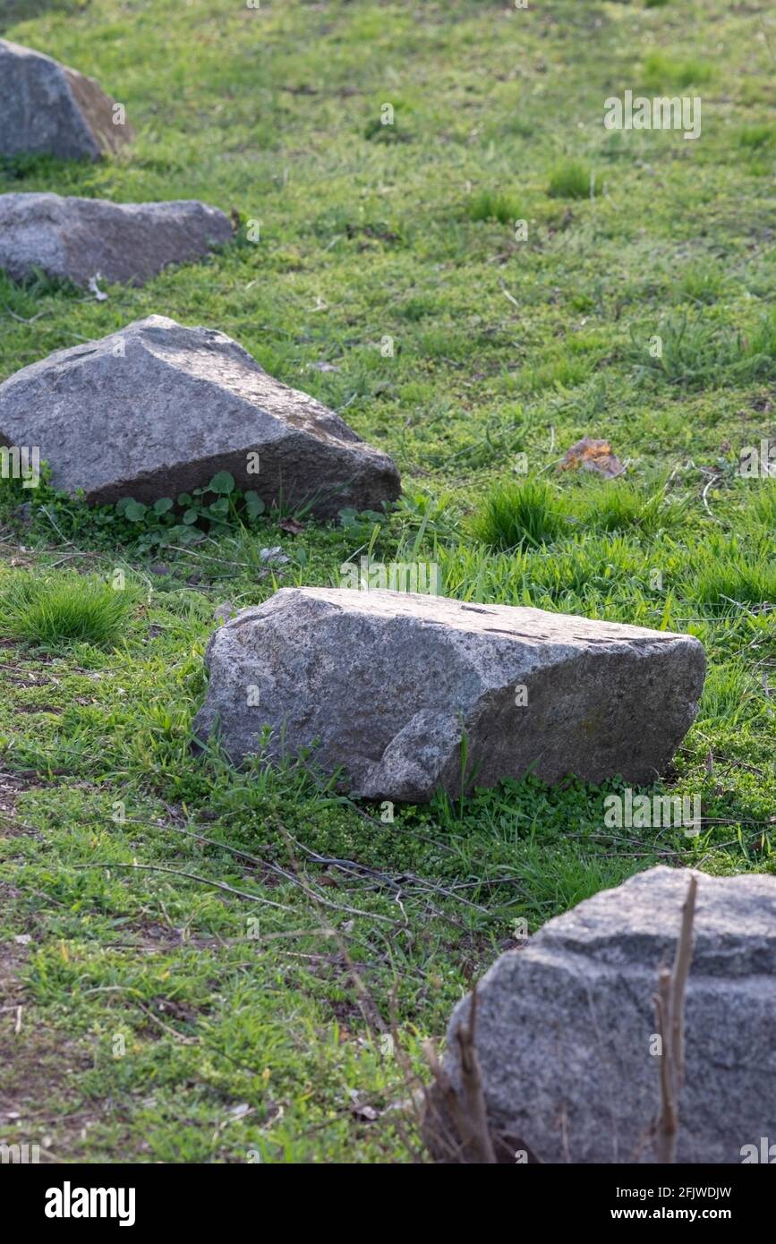 large stones on green grass. Background, copy space spring. Stock Photo