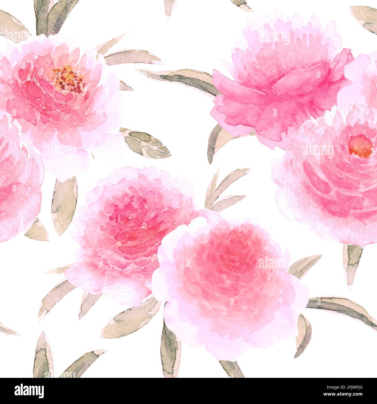 Watercolor pink peonies flowers. Beautiful floral seamless pattern ...