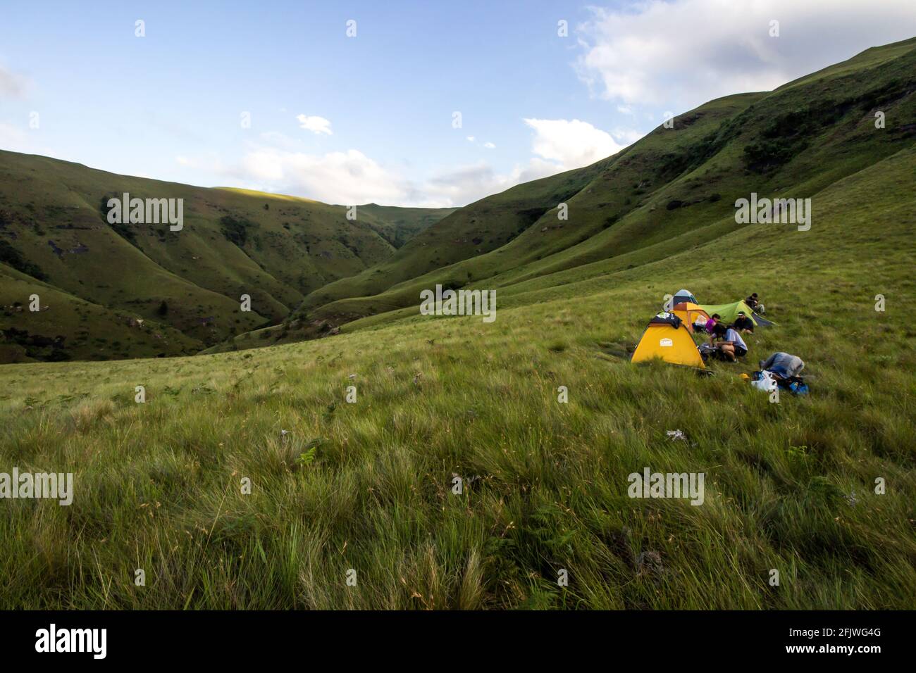 A small group of bright colored hiking tents, pitched in the Afromontane grassland, wild camping in the Drakensberg Mountains South Africa. Stock Photo
