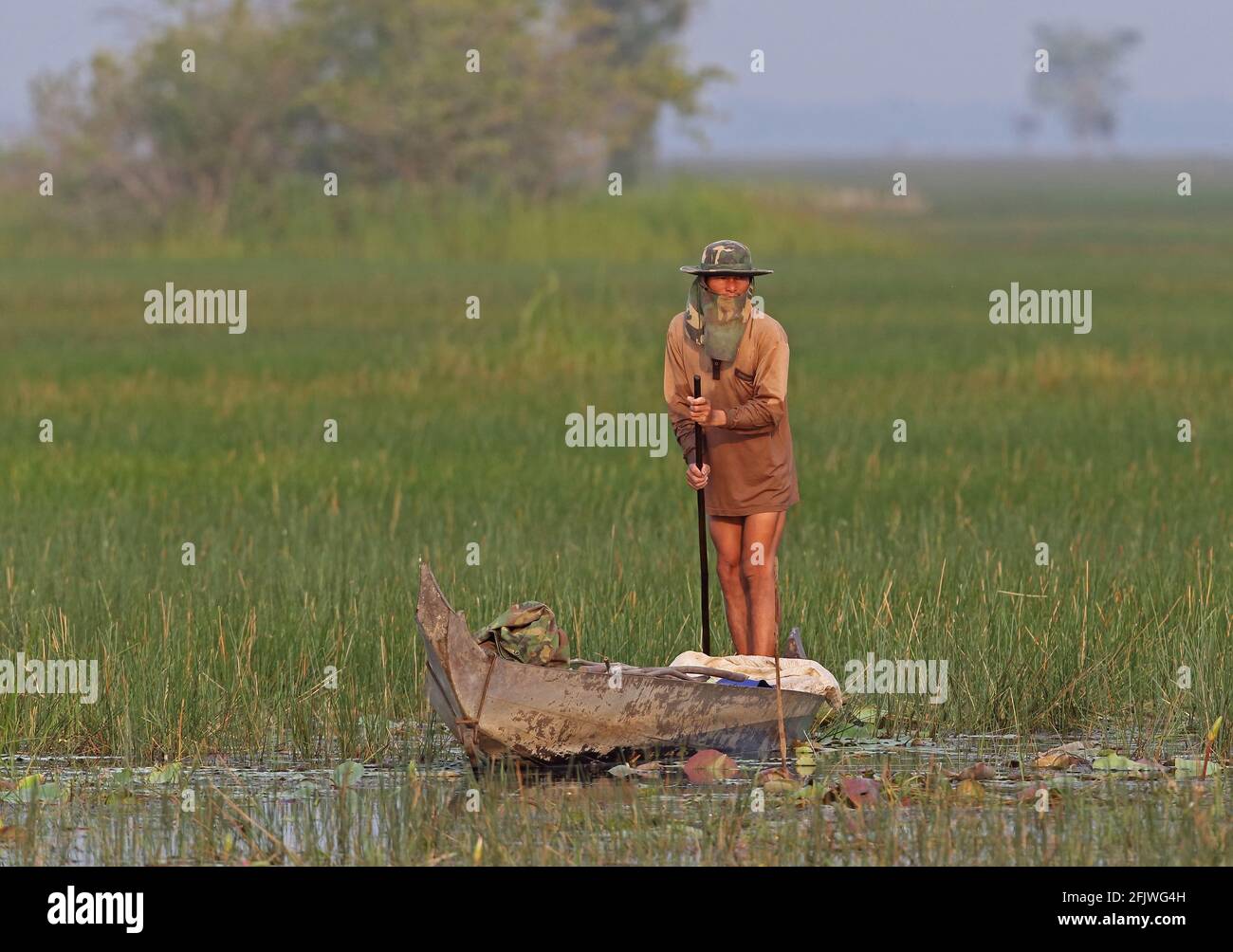 fisherman punting boat in marsh Ang Trapaeng Thmor, Cambodia            January Stock Photo