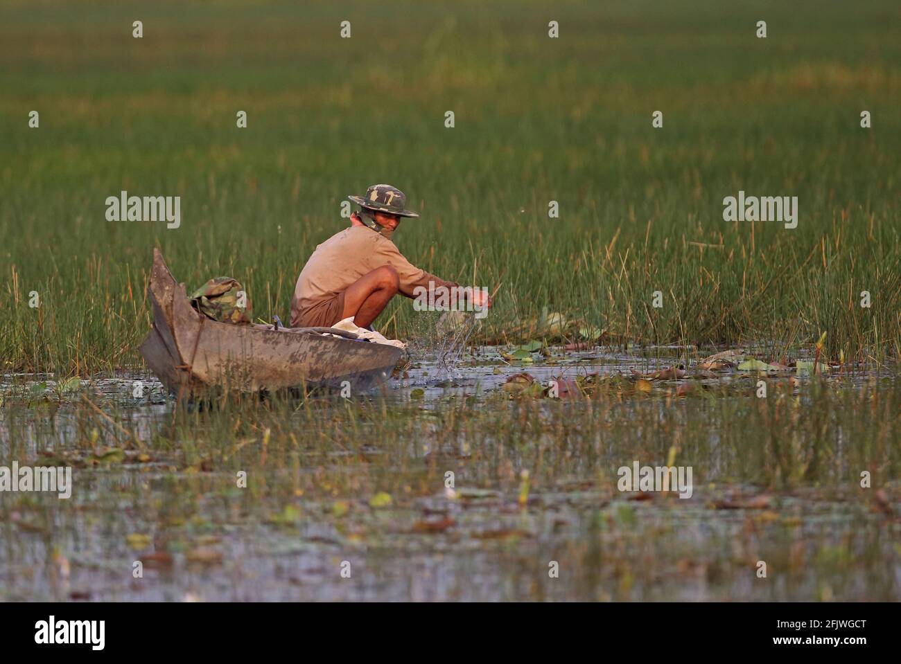fisherman taking in net on boat in marsh Ang Trapaeng Thmor, Cambodia            January Stock Photo