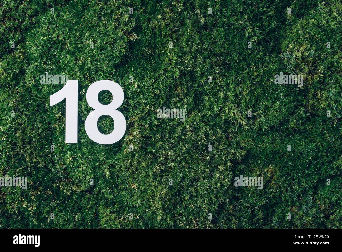 Ecology, zero waste. Green grass, digit eighteen. Birthday greeting card with inscription 18. Anniversary concept. Top view. Copy space. White numeral Stock Photo