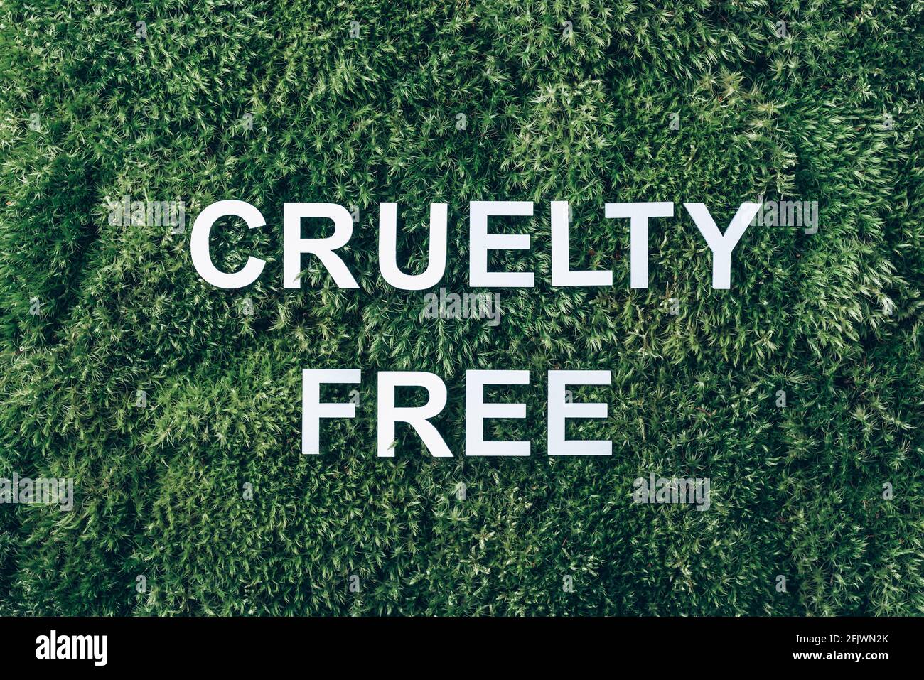 Inscription Cruelty Free on moss, green grass background. Top view. Copy space. Banner. Biophilia concept. Nature backdrop Stock Photo