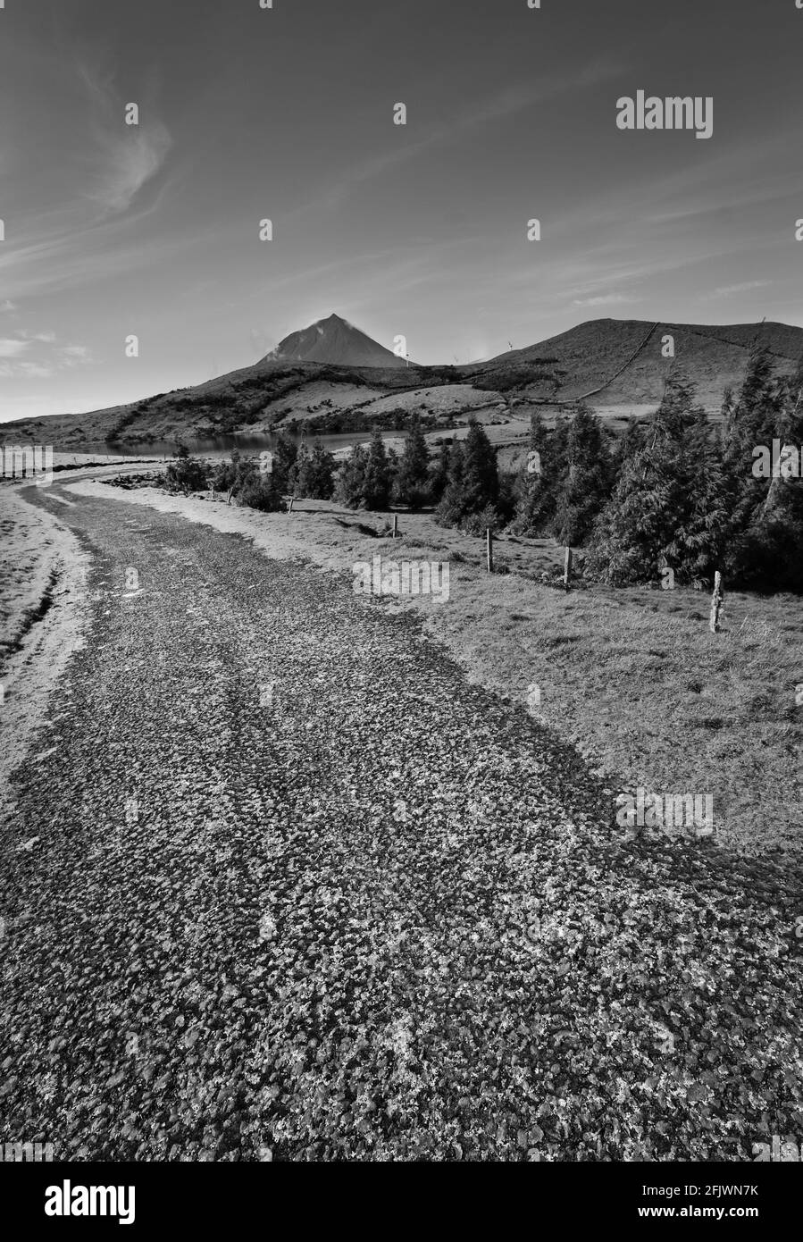 Pico Island Stock Photo