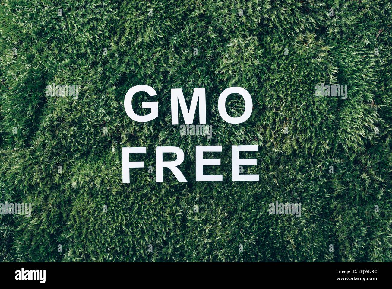 Inscription GMO FREE on moss, green grass background. Top view. Copy space. Banner. Biophilia concept. Nature backdrop. Genetically modified organism Stock Photo