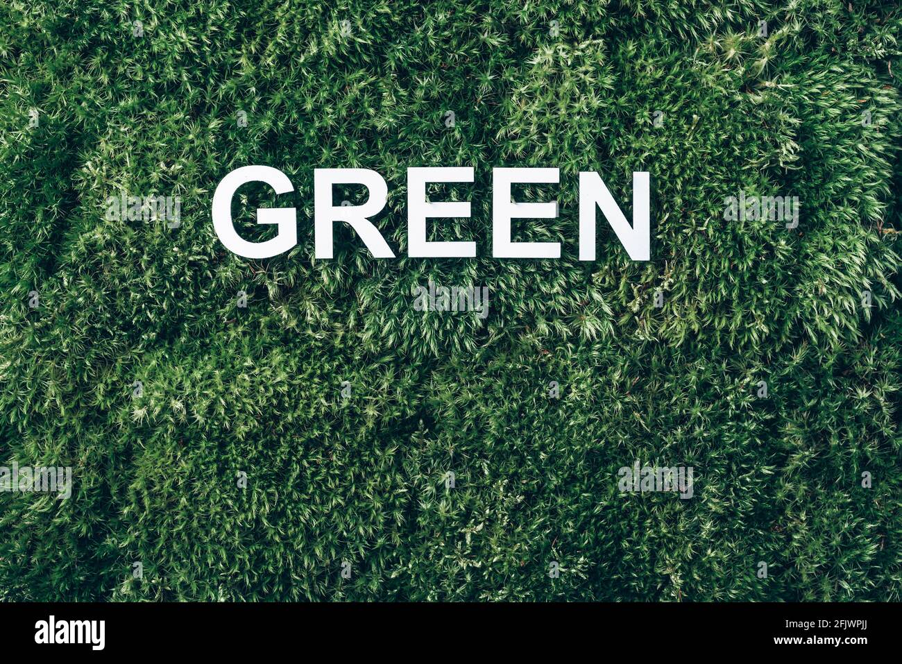 Inscription Green on moss, green grass background. Top view. Copy space. Banner. Biophilia concept. Nature backdrop Stock Photo
