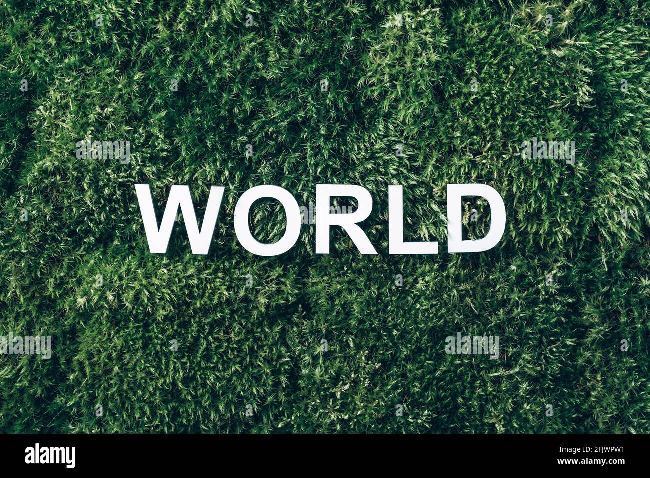Word World on moss, green grass background. Top view. Copy space. Banner. Biophilia concept. Nature backdrop Stock Photo