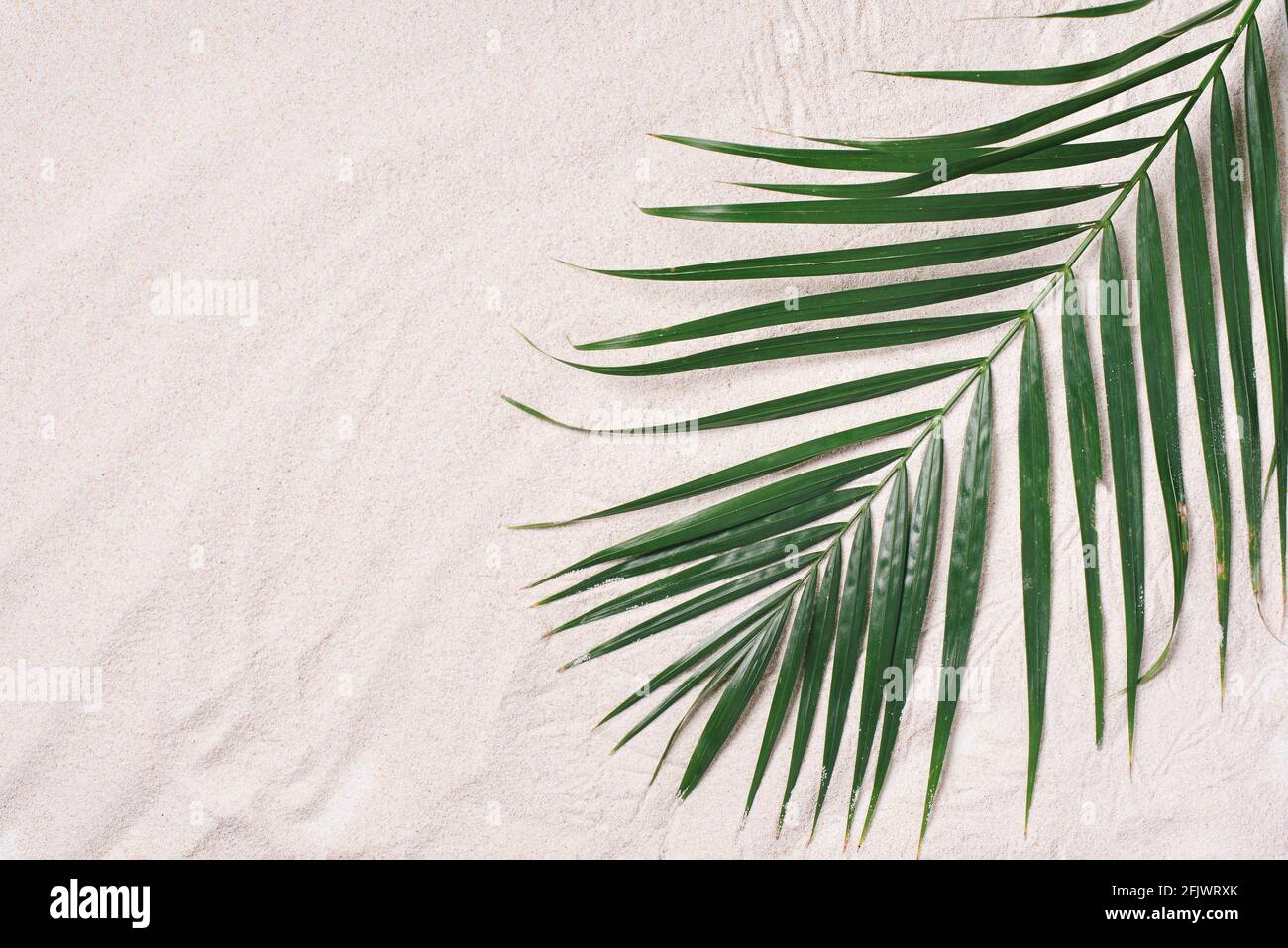 Top view of green tropical leaves on sand background. Flat lay. Minimal summer concept with palm tree leaves Stock Photo