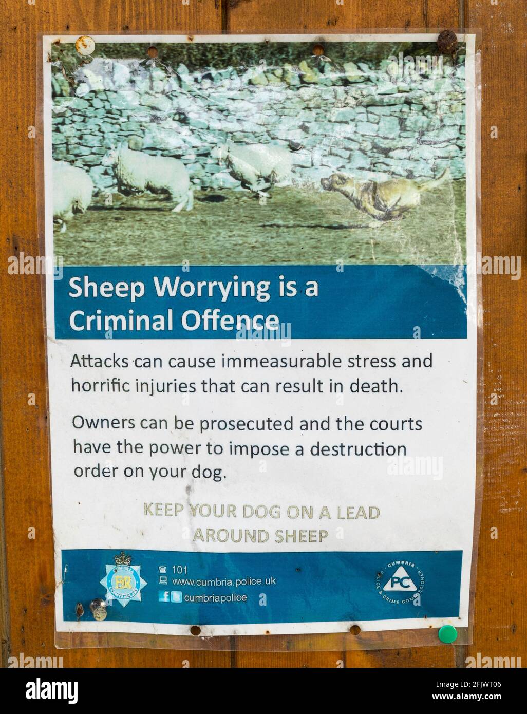Cumbria police notice Sheep Worrying is a Criminal Offence in Sedburgh, Cumbria England UK Stock Photo
