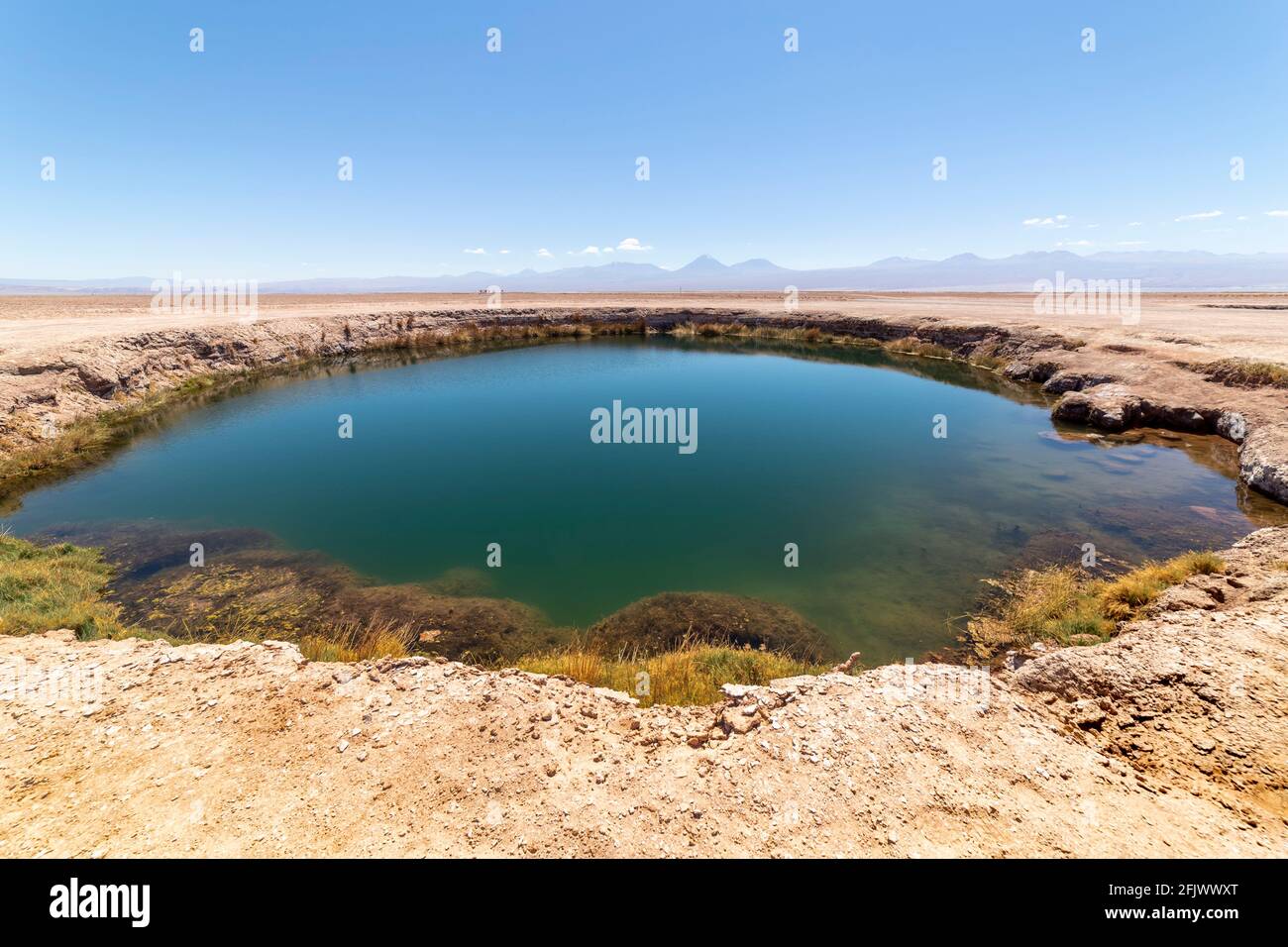 Ojos del Salar Lagoon, Salar de Atacama nearby San Pedro de Atacama, Antofagasta Region, Chile Stock Photo