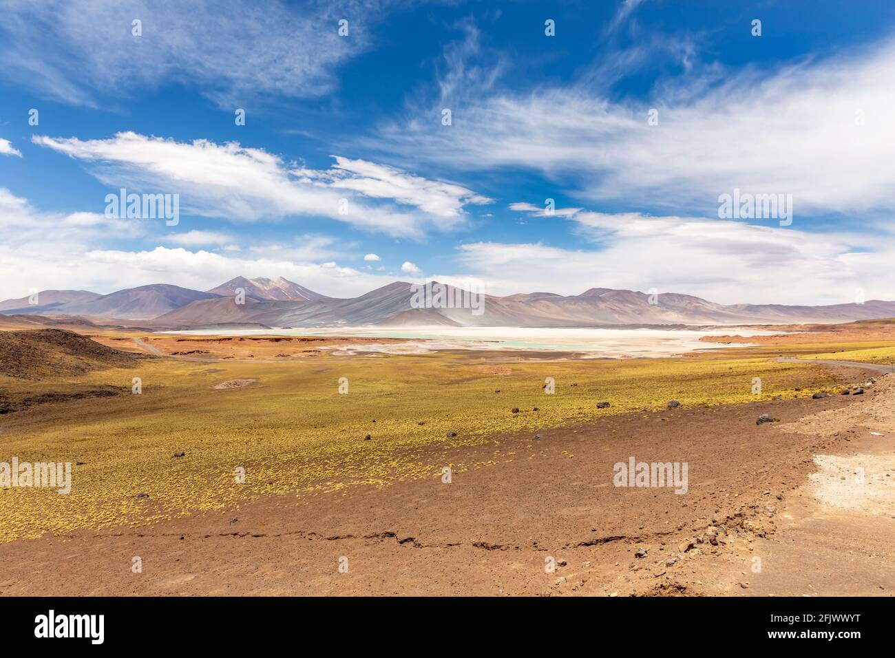 Tuyajto Lagoon on the altiplano in the Atacama Desert in the Antofagasta region of northern Chile, South America. Stock Photo
