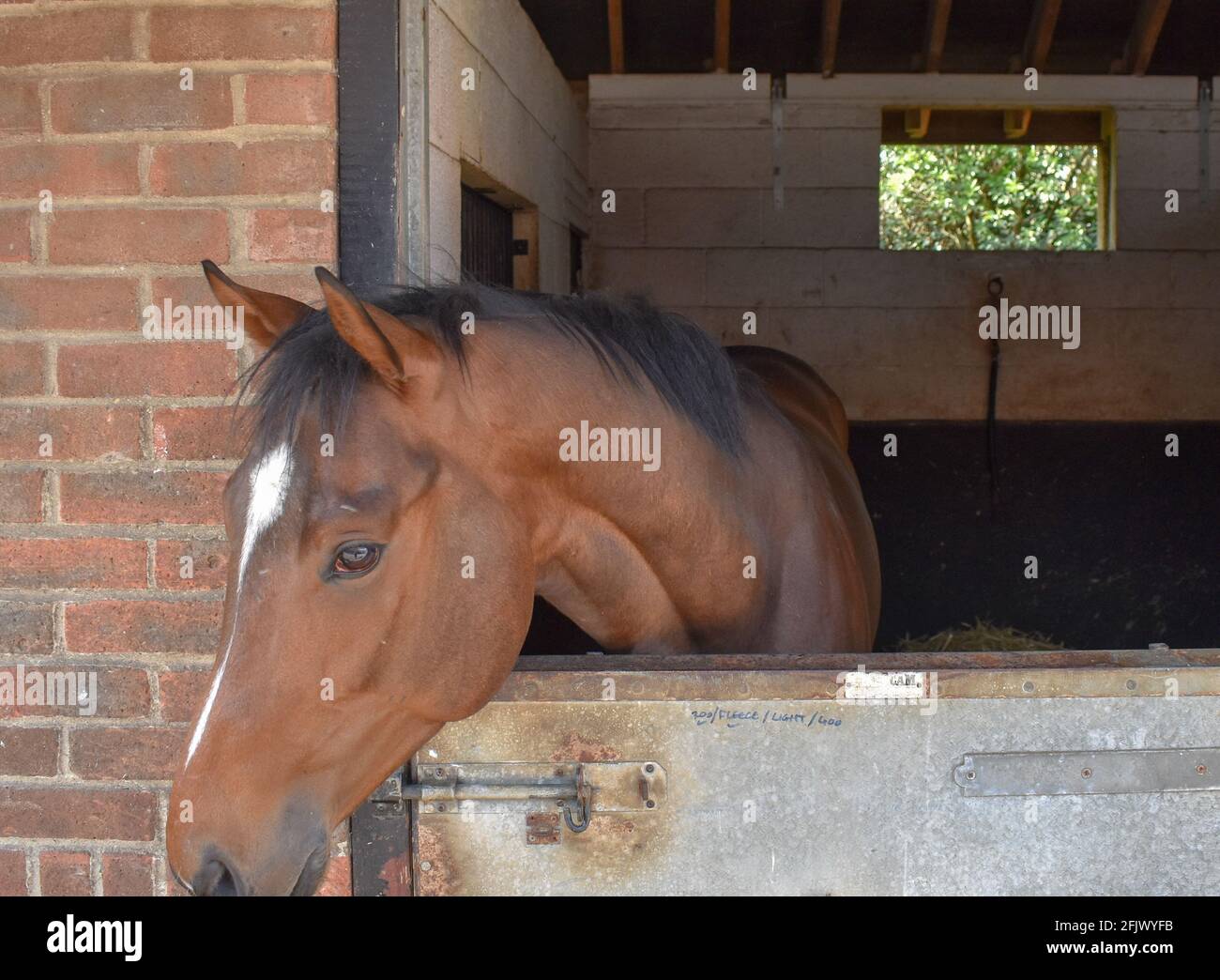 Horse Racing stables in Lambourn Stock Photo Alamy