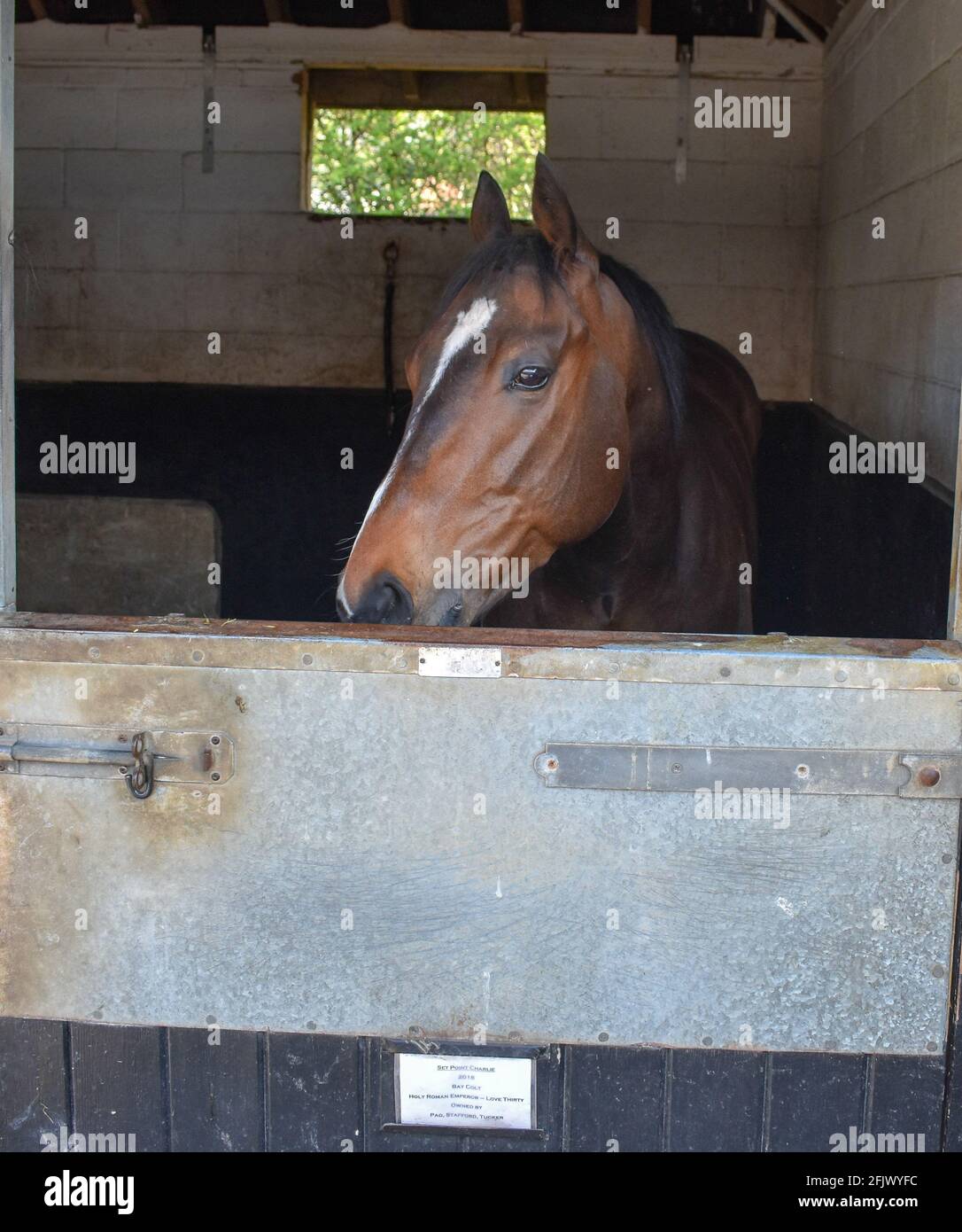 Horse Racing stables in Lambourn Stock Photo - Alamy