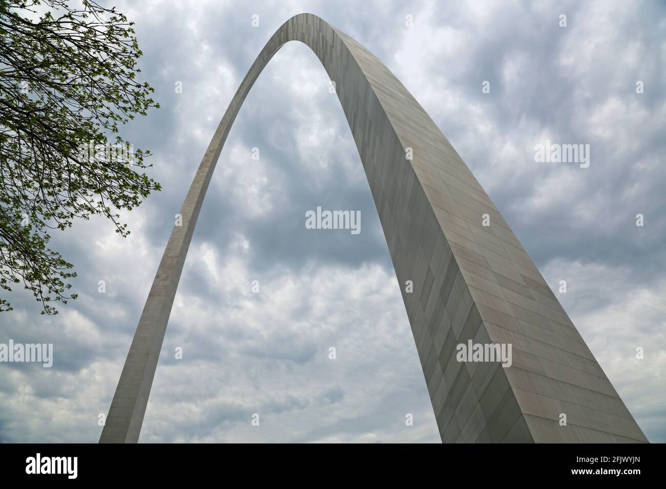 Branches and Gateway Arch - St Louis, Missouri Stock Photo