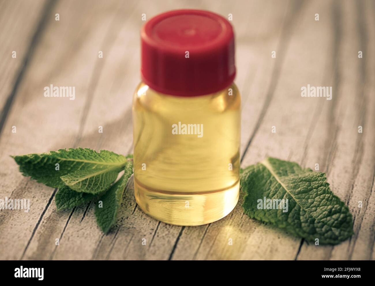 Mint leaves with essential oil in a bottle Stock Photo