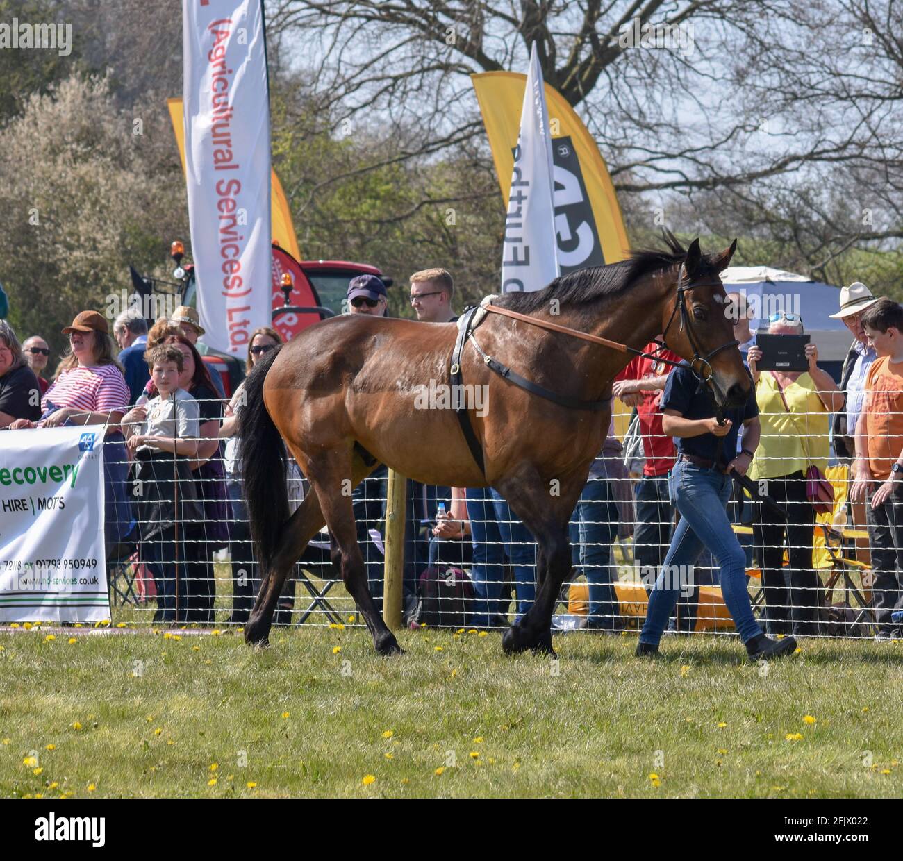 Lambourn Horse Racing open day Stock Photo - Alamy