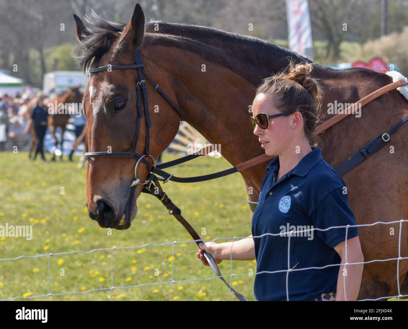 Lambourn open day hi-res stock photography and images - Alamy