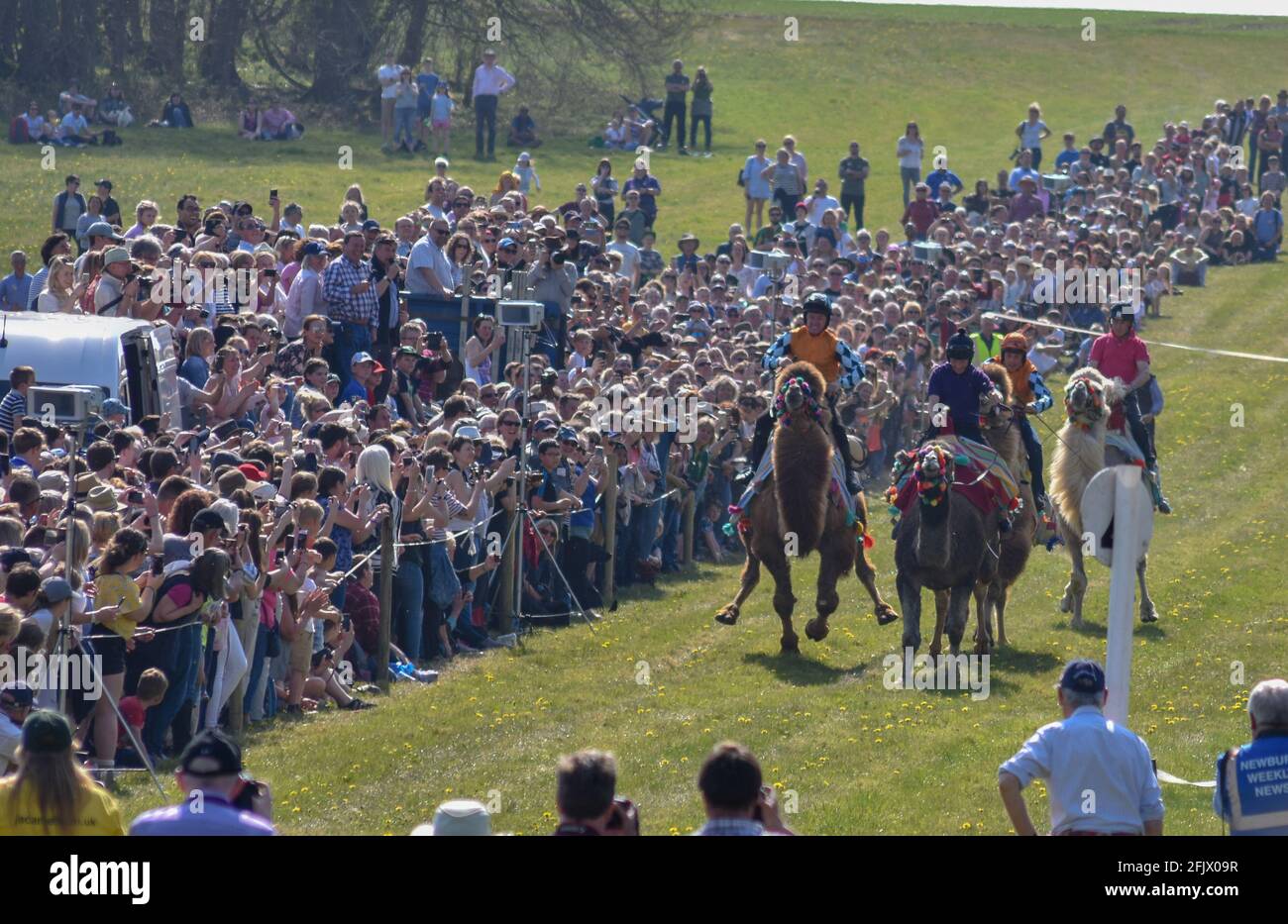 Lambourn Horse Racing open day Stock Photo - Alamy